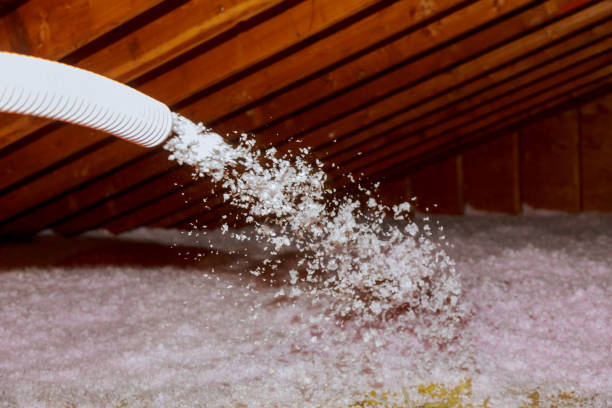 Best Spray Foam Insulation in Arbutus, MD