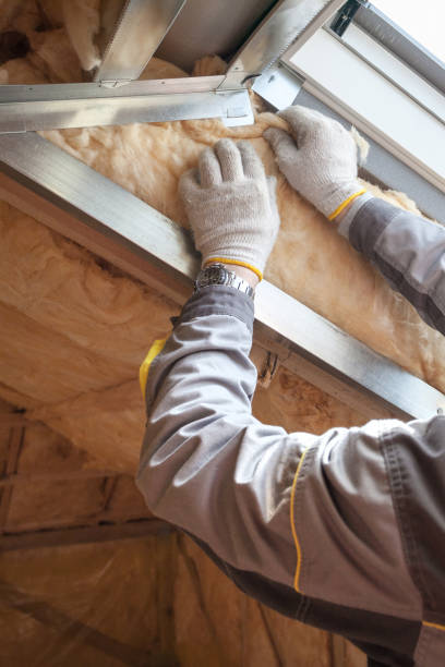 Best Geographic-Specific Insulation Services in Arbutus, MD