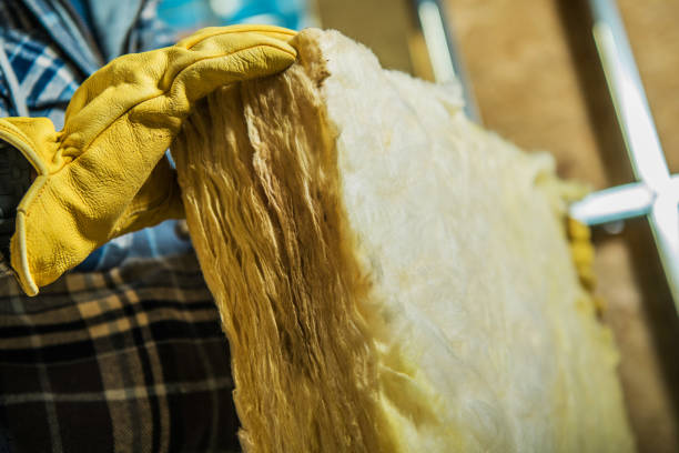 Types of Insulation We Offer in Arbutus, MD
