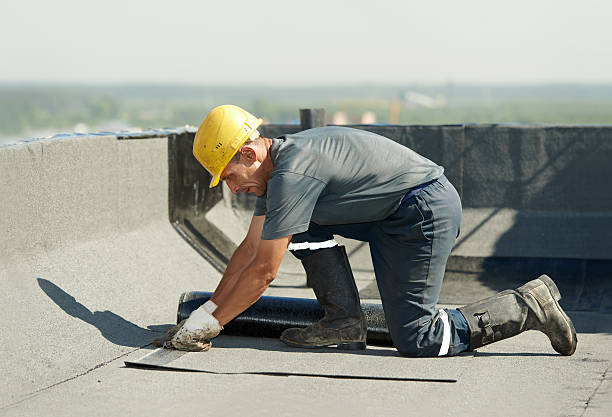 Best Commercial Insulation in Arbutus, MD