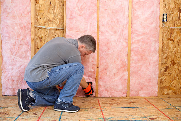 Best Eco-Friendly Insulation in Arbutus, MD