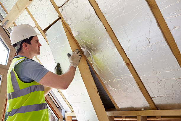 Best Insulation Maintenance and Repair in Arbutus, MD