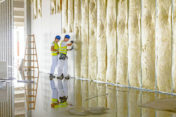 Best Cellulose Insulation in Arbutus, MD